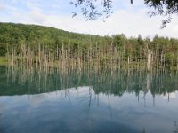 img (49)